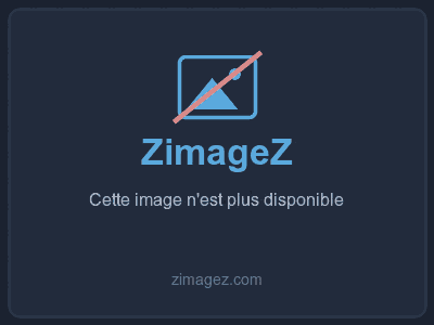 Visionner l'image